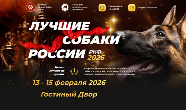 выставка Лучшие собаки и кошки России